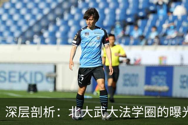 深层剖析：北大武大法学圈的曝光风波与背后真相